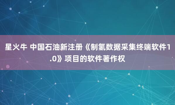 星火牛 中国石油新注册《制氢数据采集终端软件1.0》项目的软件著作权
