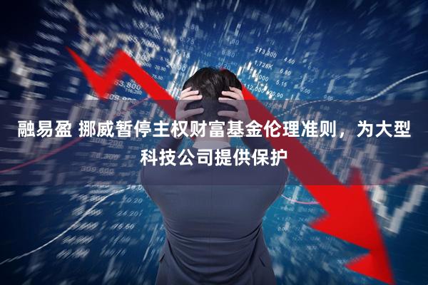 融易盈 挪威暂停主权财富基金伦理准则,为大型科技公司提供保护