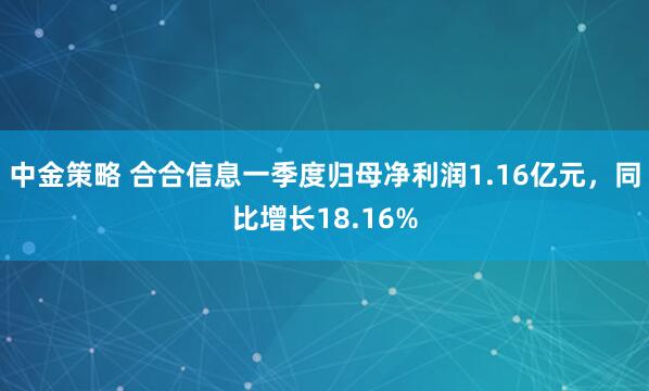 中金策略 合合信息一季度归母净利润1.16亿元,同比增长18.16%