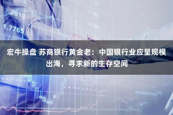 宏牛操盘 苏商银行黄金老：中国银行业应呈规模出海，寻求新的生存空间