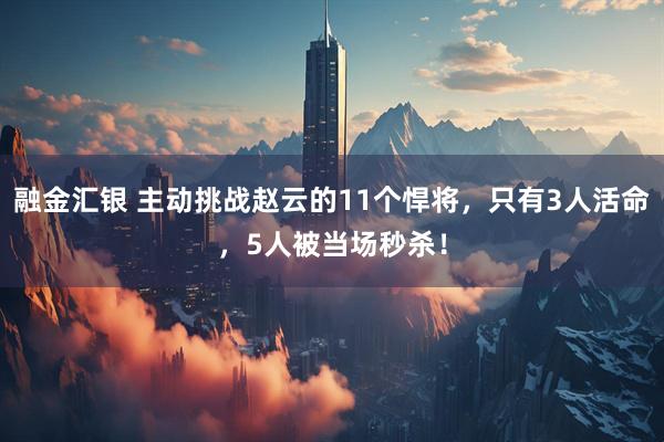 融金汇银 主动挑战赵云的11个悍将，只有3人活命，5人被当场秒杀！